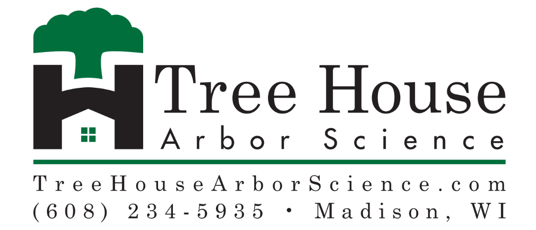 Tree House Arbor Science